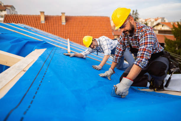 Best Chimney Flashing Repair  in Mcgraw, NY