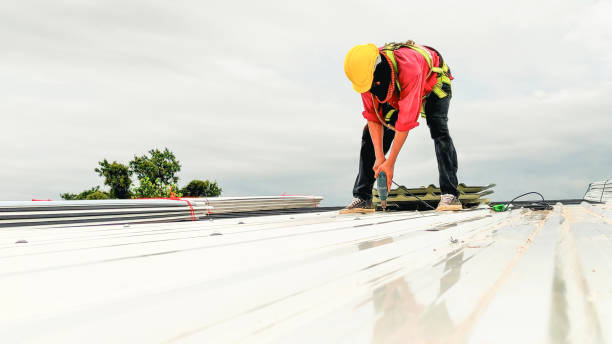 Roof Coating Services in Mcgraw, NY