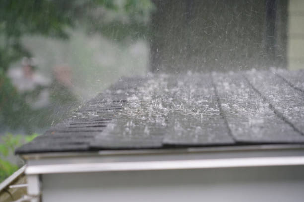 Best Emergency Roof Repair Services  in Mcgraw, NY