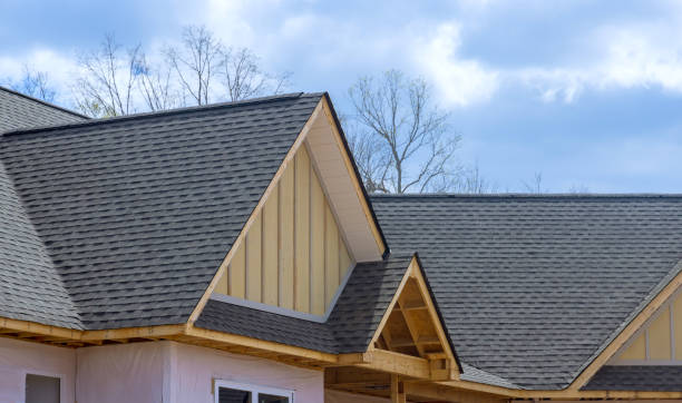 Best Roof Moss and Algae Removal  in Mcgraw, NY